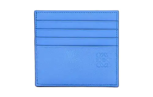 LOEWE Grained Calfskin Card Holder Regular Men's Green Purple Blue