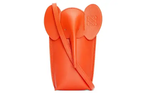 LOEWE Cow Leather Cell Phone Pouch, Shoulder Bag, Crossbody Bag Regular Women's Vibrant Orange