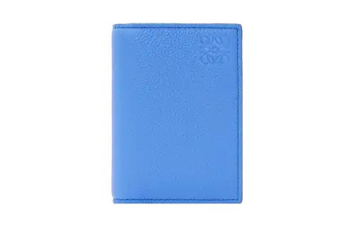 LOEWE Grained Calfskin Card Holder Regular Men's Green Purple Blue