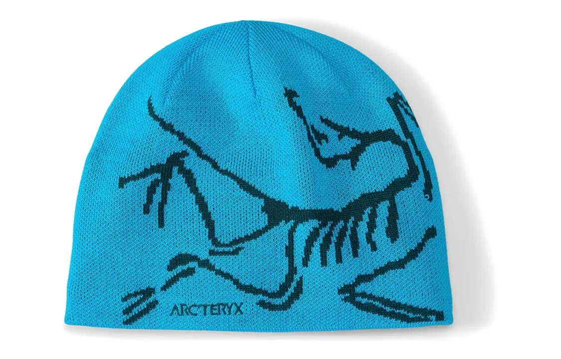 Arc'teryx Bird Head Toque