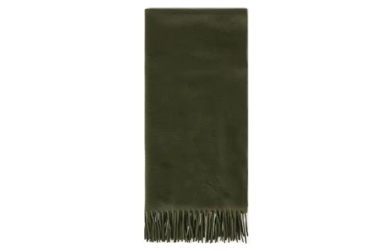 Loro Piana Knit Scarves Women's Dark Green