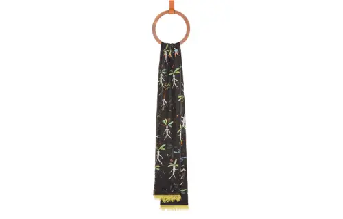 LOEWE Knit Scarves Unisex Multicolor
