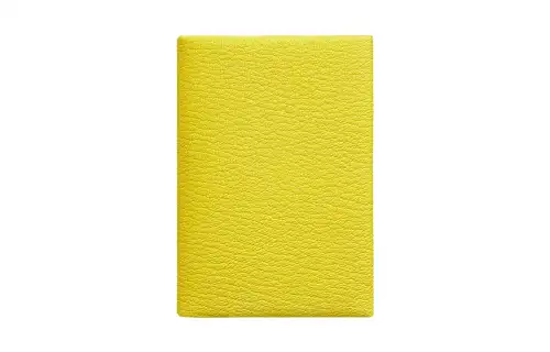 HERMES CalviCalvi Duo Mysore Goat Skin Card Holder Mini Women's 9N Citron Lemon