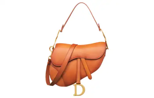 DIOR Lambskin Saddle Bag, Shoulder Bag, Crossbody Bag, Handbag Women's Bronze