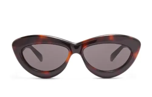 LOEWE Acetate Irregular Shape Sunglasses Unisex Tortoiseshell