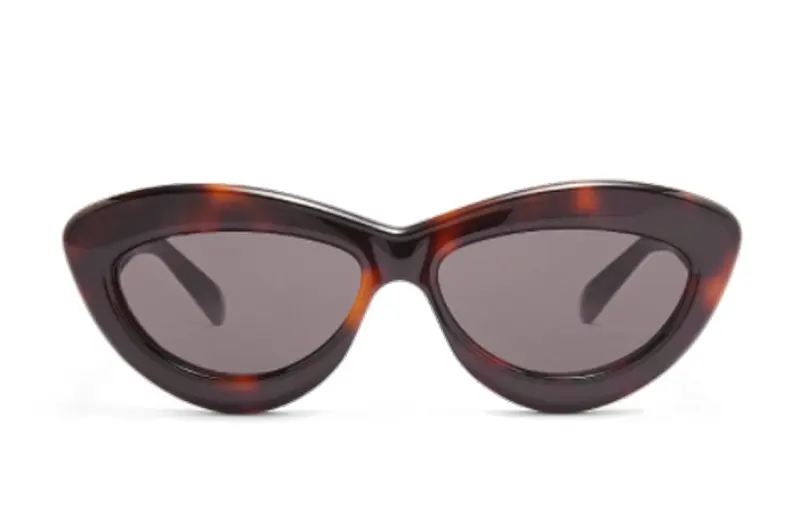 LOEWE Acetate Irregular Shape Sunglasses Unisex Tortoiseshell