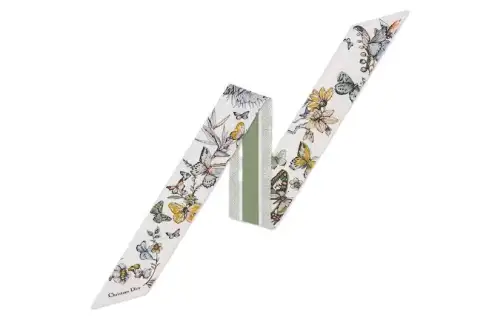DIOR Scarves Women's Light Cactus Green
