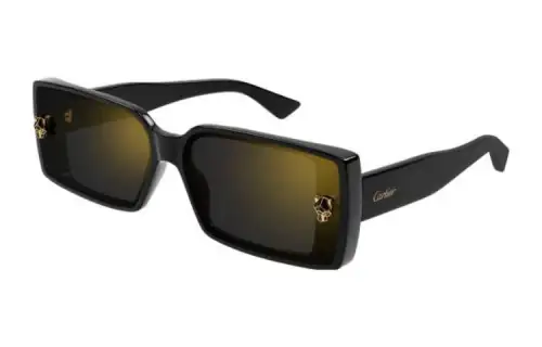 Cartier Rectangular Frame Sunglasses