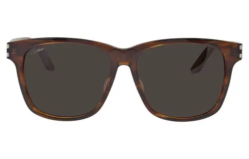 CARTIER Plastic Square Sunglasses Men's Brown