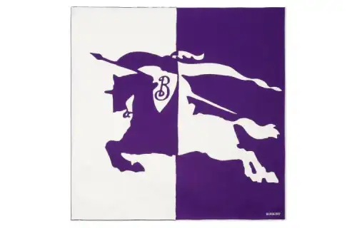 Burberry Silk Scarves Unisex Purple