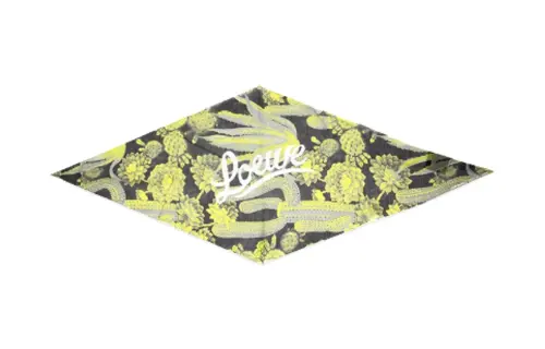 LOEWE Silk Scarves Women's Green