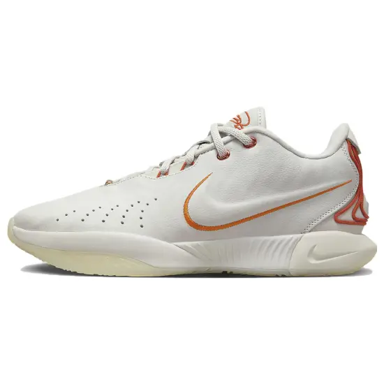Nike LeBron 21 Akoya