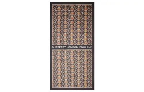 Burberry Silk Scarves Women's Brown