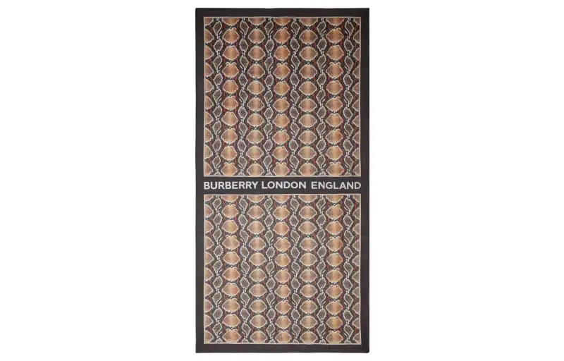 Burberry Silk Scarves Women's Brown
