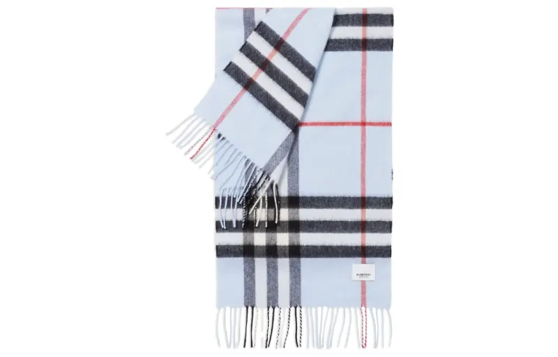 Burberry Checked Fringed Edge Scarf