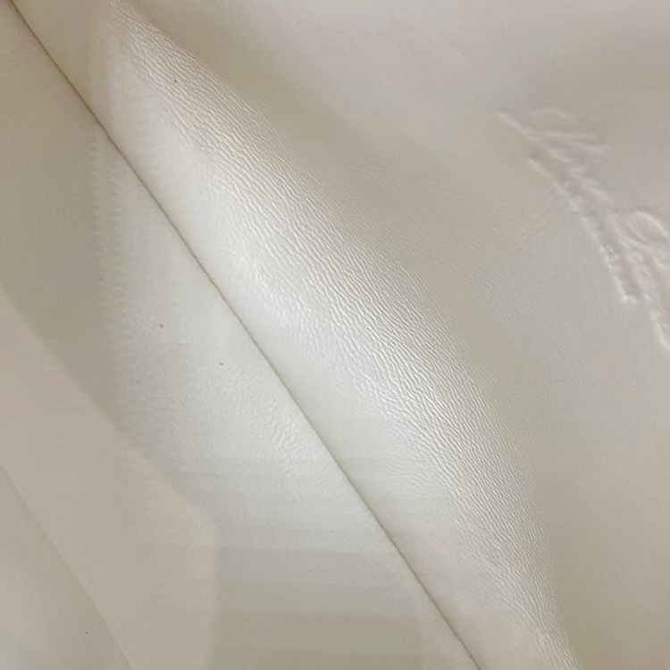 Photo 18829434