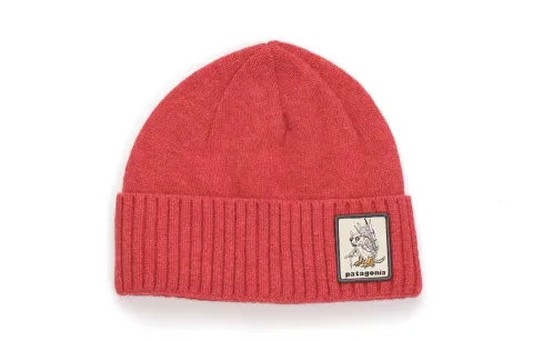 Patagonia Beanies Unisex