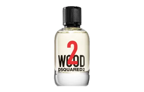 DSQUARED 2 Forest Morning Dew