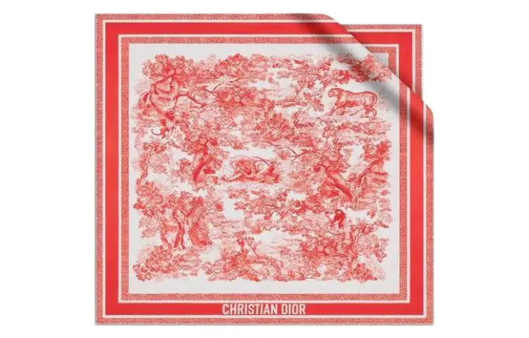 DIOR Patterned Print Scarves Unisex Orange