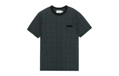 COACH T-Shirts Men's Gray Crew Neck Moderate
