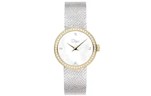 DIOR Wrist Watches Quartz Movement Stainless Steel Strap Mother of Pearl Color Watch Dial Men's Watches