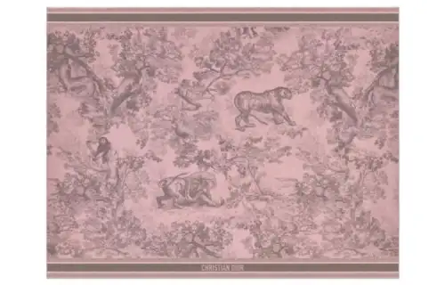 DIOR Knit Scarves Women's