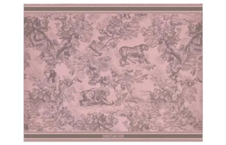 DIOR Knit Scarves Women's