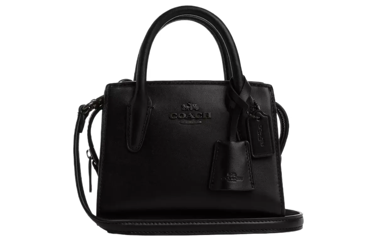 COACH ANDREA 15 MINI CARRYALL