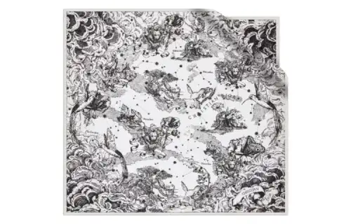 DIOR Patterned Print Scarves Women's Black