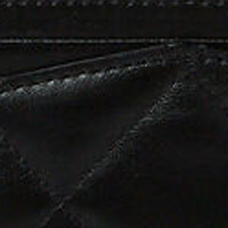 Photo 20873307