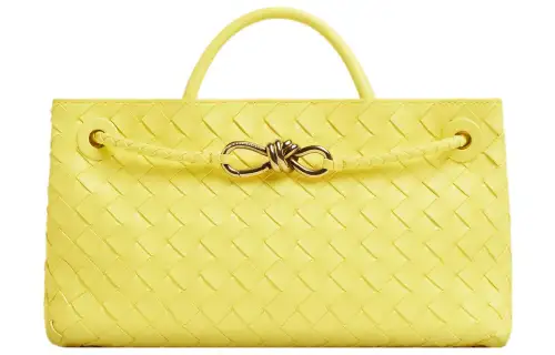 Bottega Veneta Andiamo Sheepskin Shoulder Bag, Crossbody Bag, Handbag Small Women's Jelly Yellow