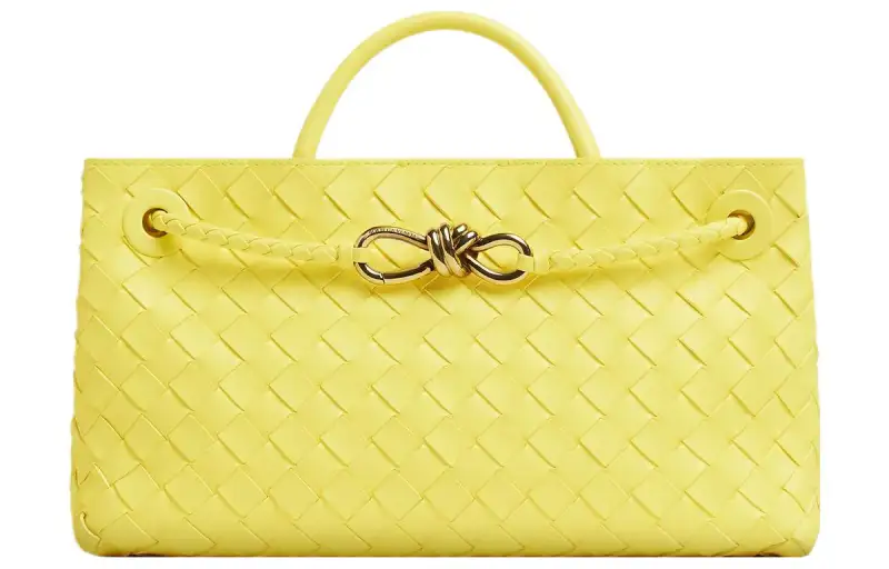 Bottega Veneta Andiamo Sheepskin Shoulder Bag, Crossbody Bag, Handbag Small Women's Jelly Yellow