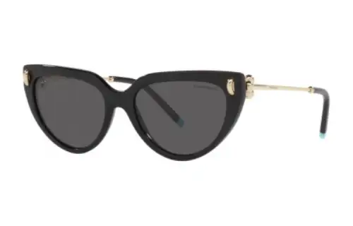 TIFFANY & CO. Metal Plastic Cat Eye Sunglasses Women's Black