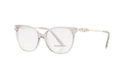 TIFFANY & CO. Metal Plastic Cat Eye Eyeglass Frames Women's Gray