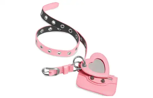 Balenciaga Logo Badge Women's Pink Width 2.5CM