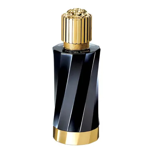 VERSACE Fashionable engine, perfume sandalwood, saffron, 100 ml