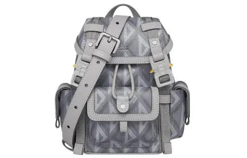 DIOR Hit The Road Cow Leather With Canvas Shoulder Bag, Crossbody Bag Mini Dior Gray