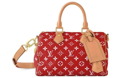 LOUIS VUITTON Speedy Leather Pillow Bag, Shoulder Bag, Crossbody Bag, Handbag Women's Red