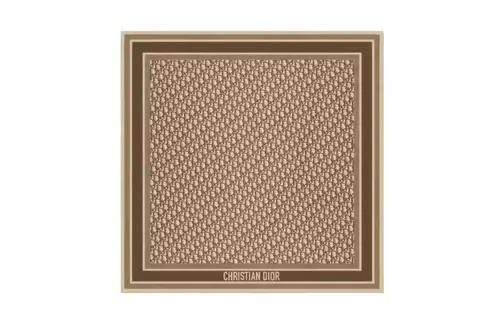 DIOR Silk Scarves Women's Brown