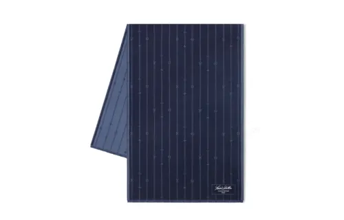 Lv Monogram Stripes Stole