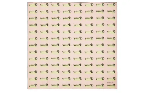 Burberry Silk Scarves Unisex Khaki