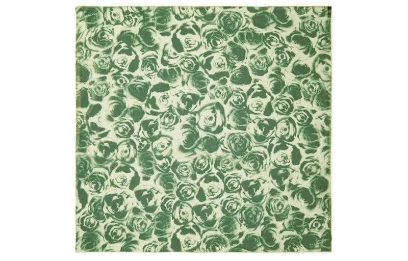 Burberry Silk Scarves Unisex Green