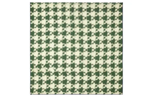 Burberry Silk Scarves Unisex Green