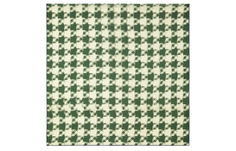 Burberry Silk Scarves Unisex Green