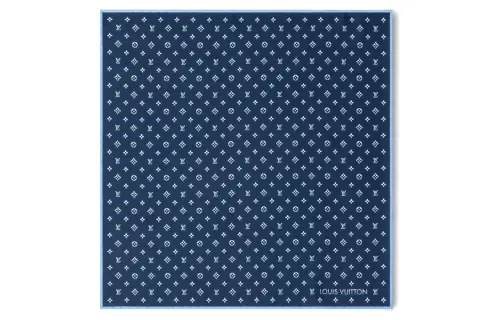 LOUIS VUITTON Scarves Men's Blue