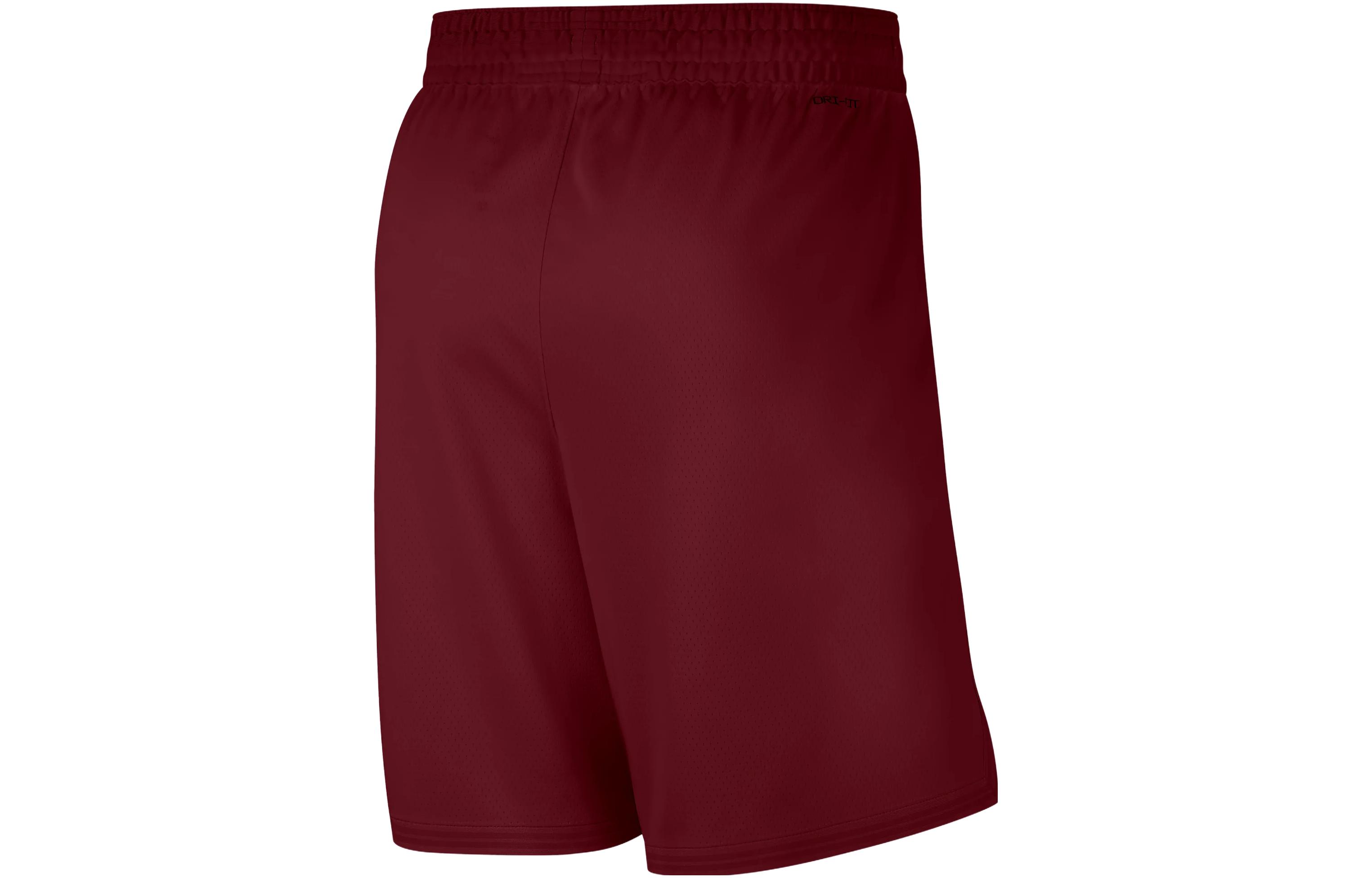 Nike Cleveland Cavaliers Icon Edition Men’s Nike Dri-FIT Nba Swingman Shorts