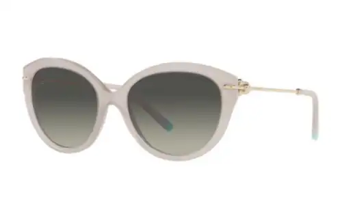 TIFFANY & CO. Plastic Metal Cat Eye Sunglasses Women's Gray