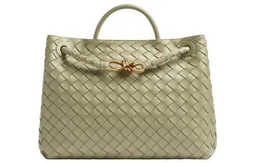 Bottega Veneta Andiamo Sheepskin Shoulder Bag, Crossbody Bag, Handbag Medium Women's Travertine Green