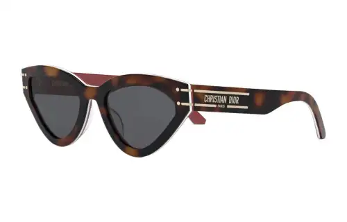 DIOR Irregular Shape Sunglasses Women's Brown