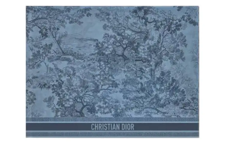 DIOR Knit Scarves Unisex